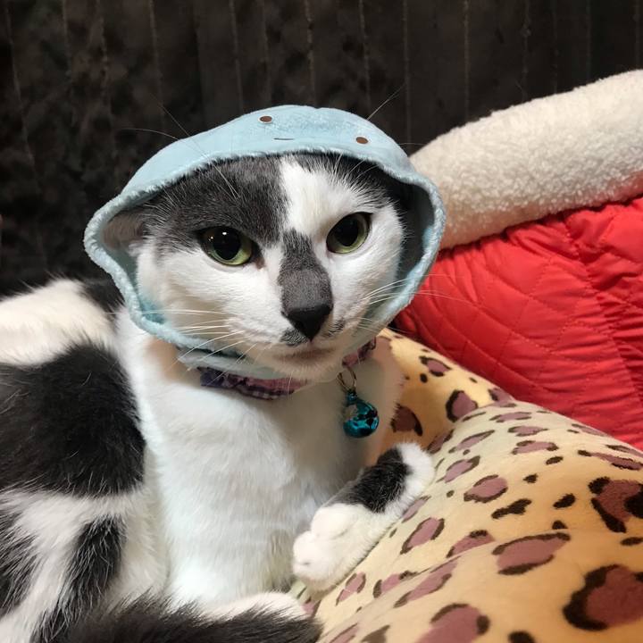 A814f82c 3df1 43cc 9374 75e9bdadf7c3 1554994869566