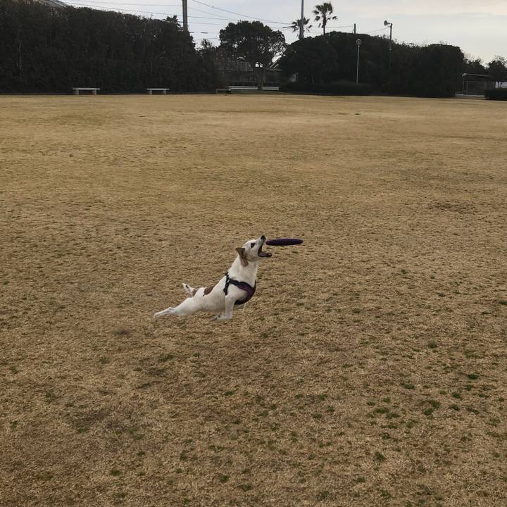 A8150824 4aa0 42a9 a7d6 69dd6fe4bf55 1549186481892