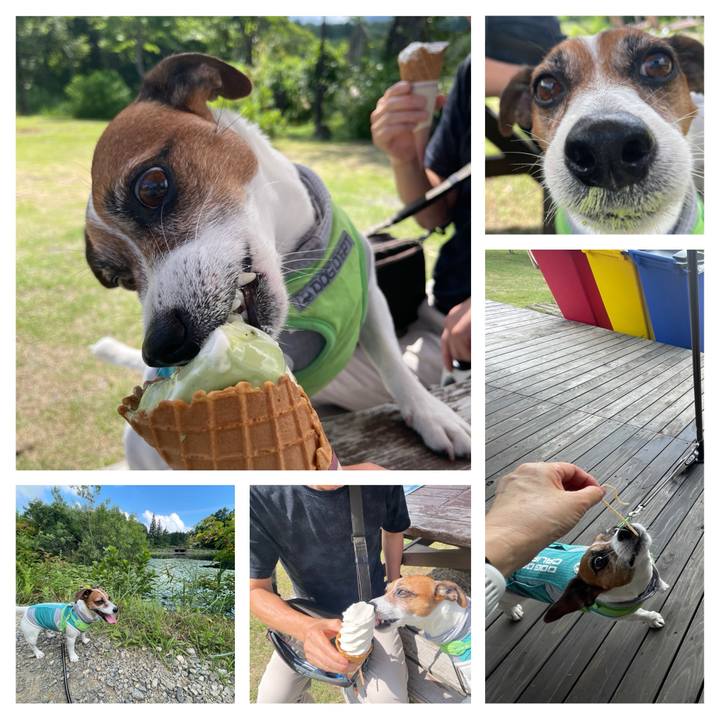 A8152548 fb32 4235 9d41 7e0c52516bc3 1755347166945