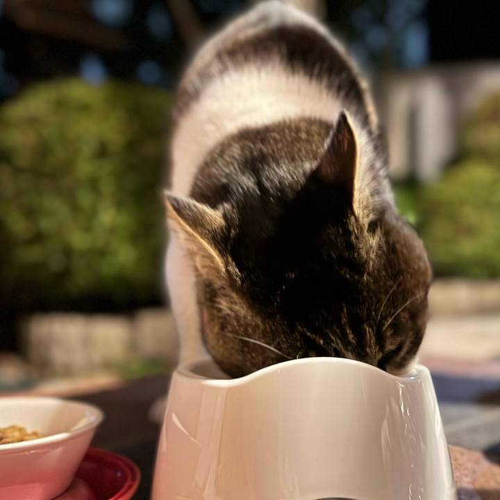 A8152acc 6919 4d36 b78b 02590f4eb8b1 1764578428668