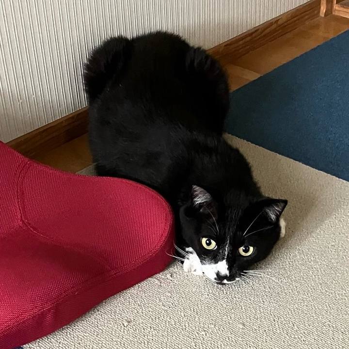 A8154ba6 378b 41ec 92cf 1450ee390990 1722916480451