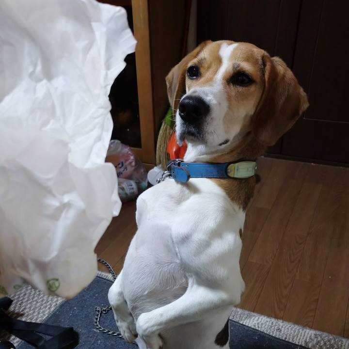 A815fa21 7a5d 48b4 af56 30cb47bd94d8 1605511374908