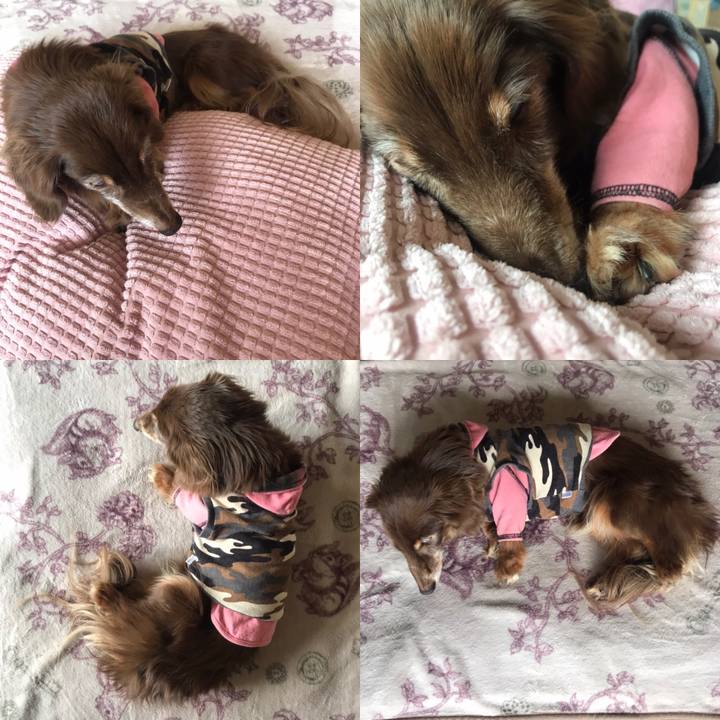 A8160706 78a9 44d2 b159 68cda264c7c4 1586048631971