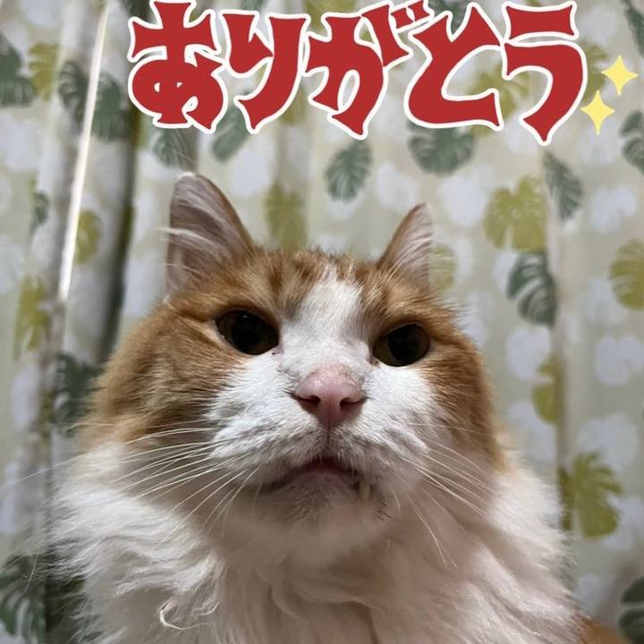 A8160edc a419 4e28 be01 e34cf4358be5 1662168045397