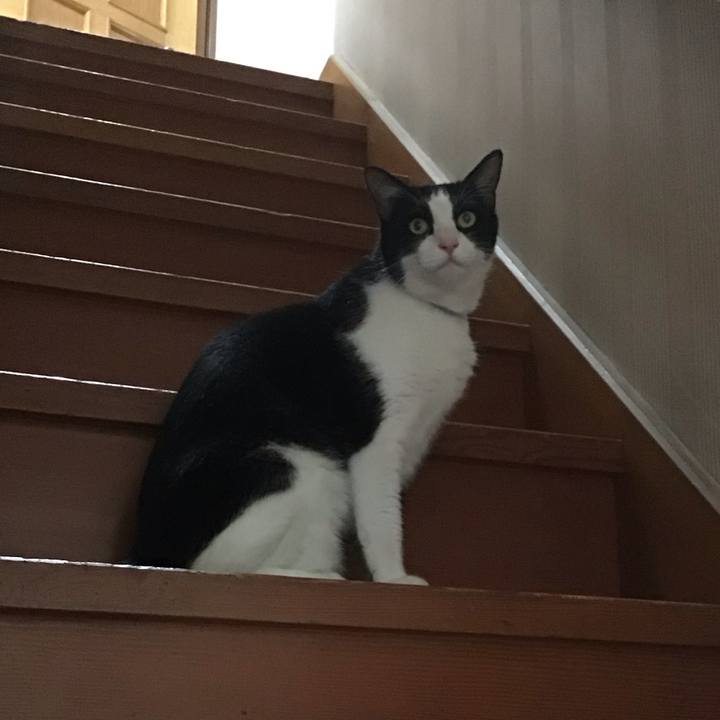 A8160f03 0fa6 456f b961 ea0936e27333 1751890865428