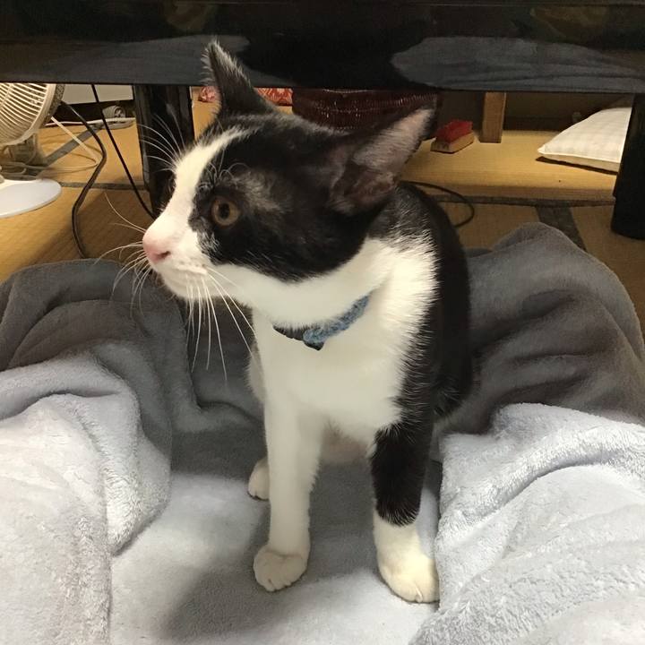 A816361b 6f17 47b8 99b2 7171bcad0a0e 1631148007638