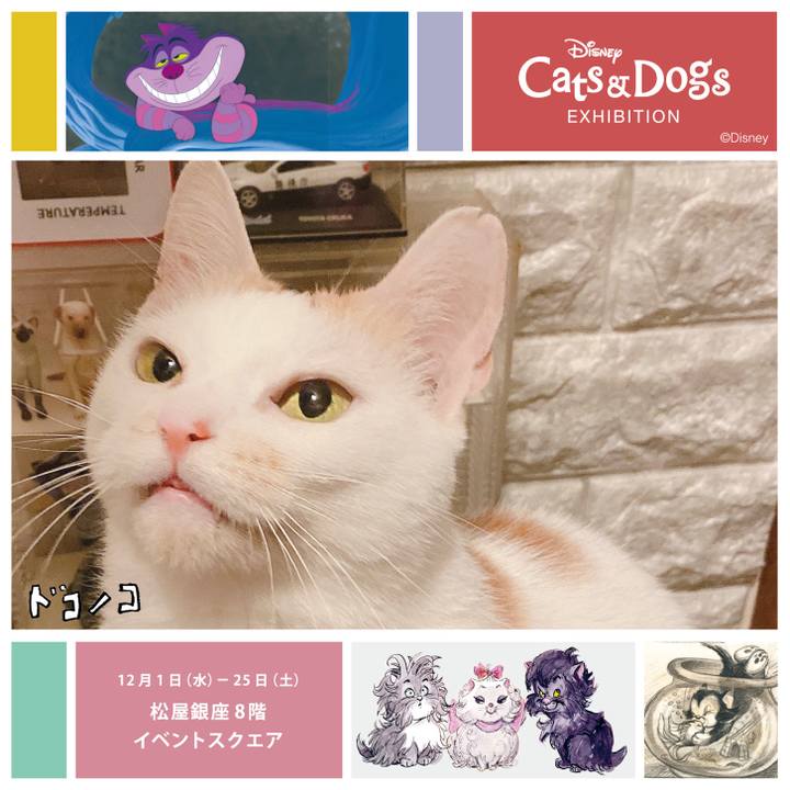 A8167a7f fdfa 417b 855b 829179a16433 1638570677241