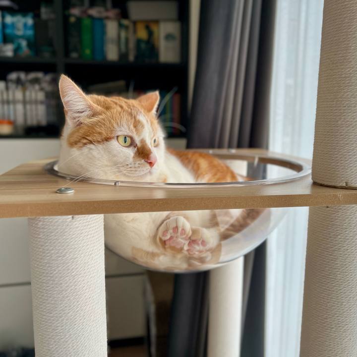 A81686ef 5cf8 459e bf0d 547827c161a6 1773106160528