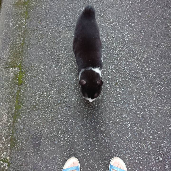 A816a77e 3b93 40bf ba1b 63353c5ff53d 1632036649443