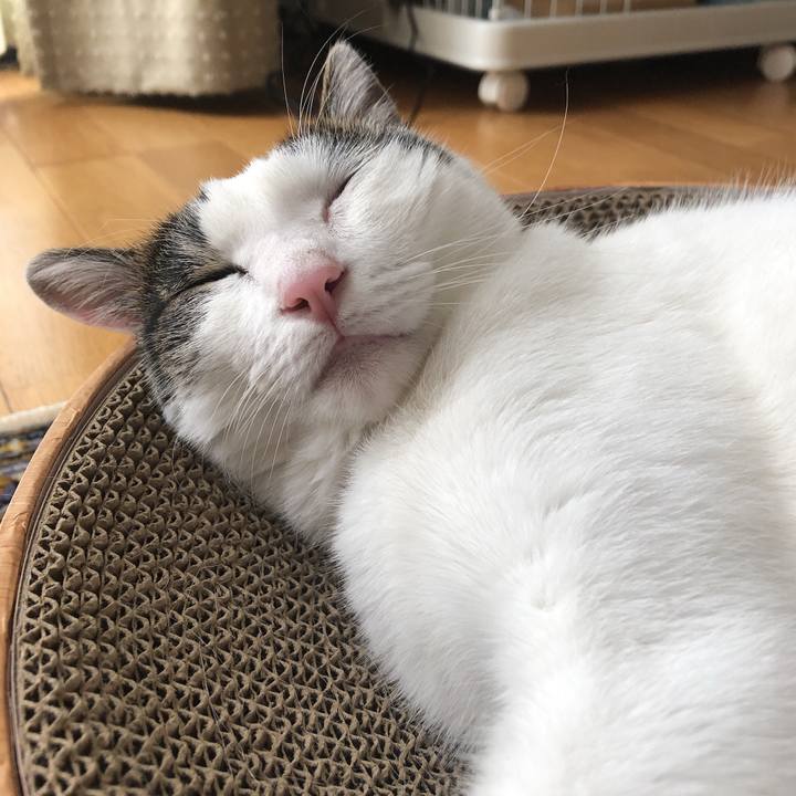 A816d335 fa43 4559 b4e6 97d702bb1bba 1632876274562