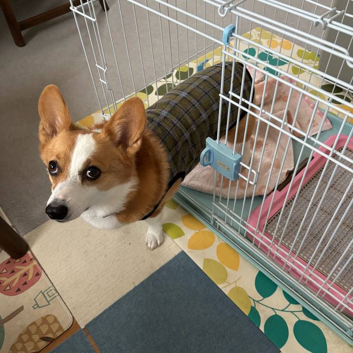 A816dd8f 1948 4b56 82a4 3d8eae9df8d2 1760573672919