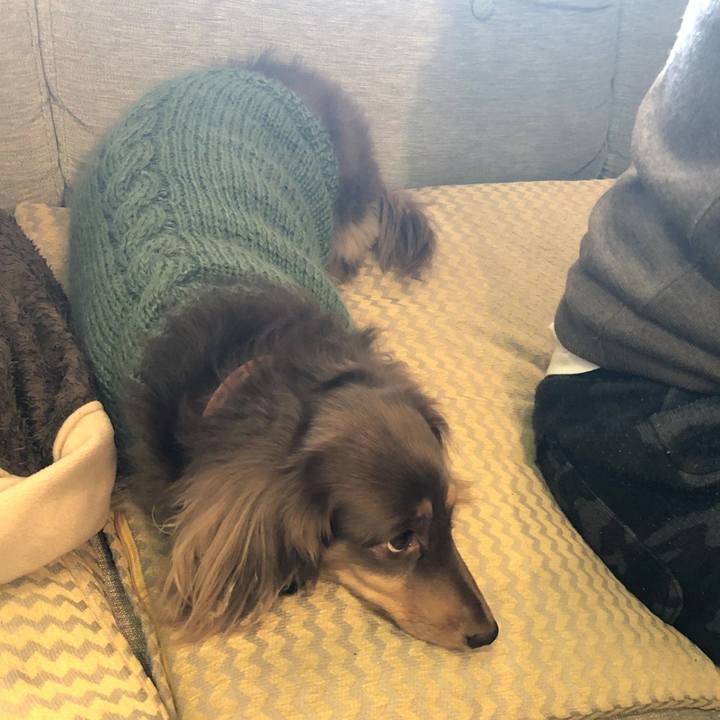 A81737c1 2a88 471a b03f c5ba91851cda 1575781875888