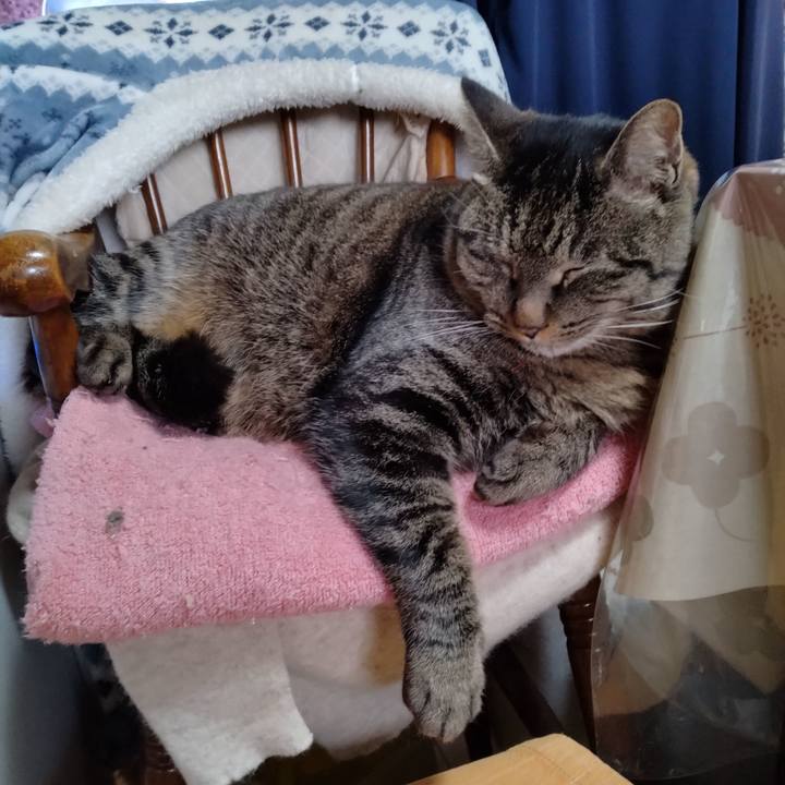 A8174aa6 6ff8 45cb 9179 a52a629c0bd0 1675210703995