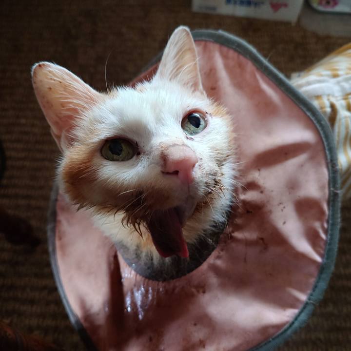 A8175e5f 22cd 4540 a977 7ff7129d6d68 1761966280953