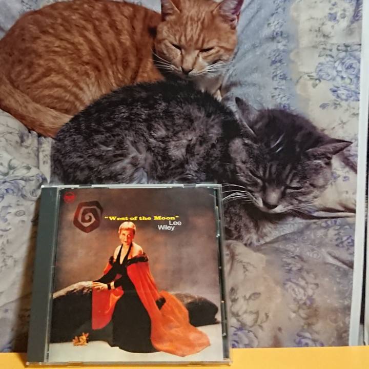 A81767a9 b4d4 4428 8bbb 72dedcb1b84d 1617017387629