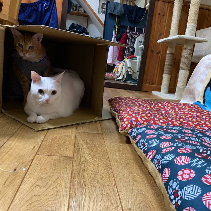 A8176ff2 6d92 4eb6 8646 4f5efe28b843 1573819397222