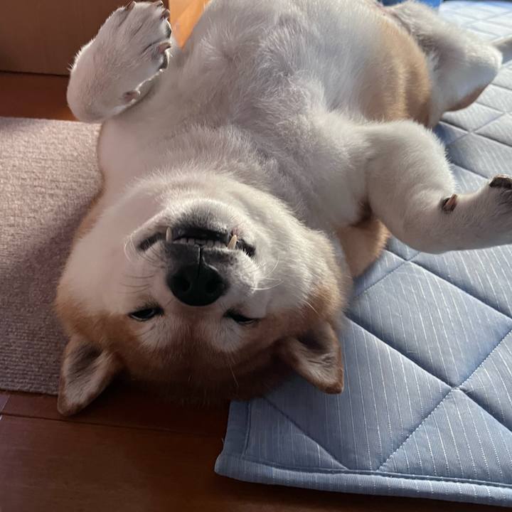 A81781ac 190f 49ed b241 193d03d0898e 1691452929112