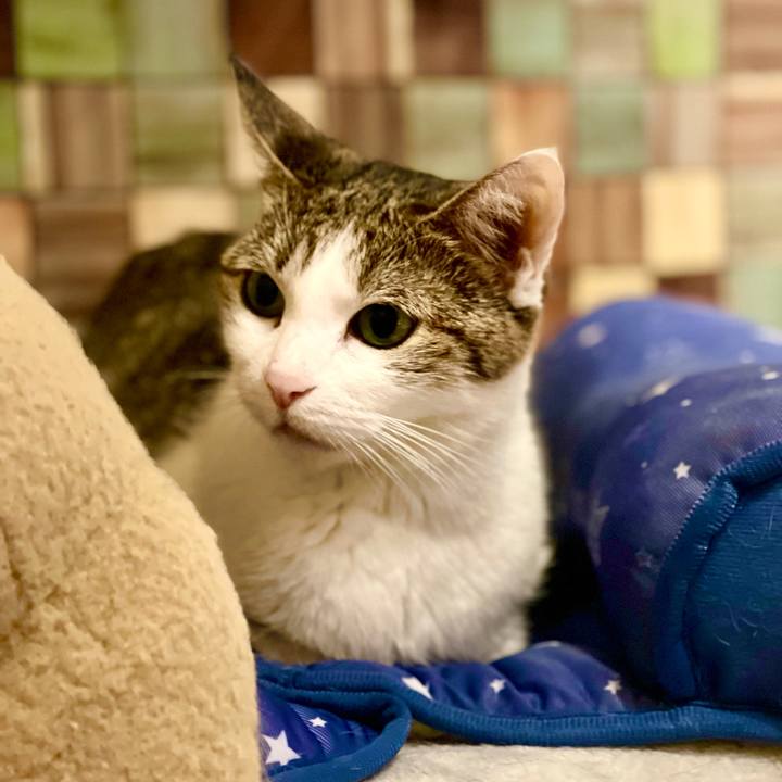 A817b884 44e9 4385 80bc 1403f2491a48 1636364375004