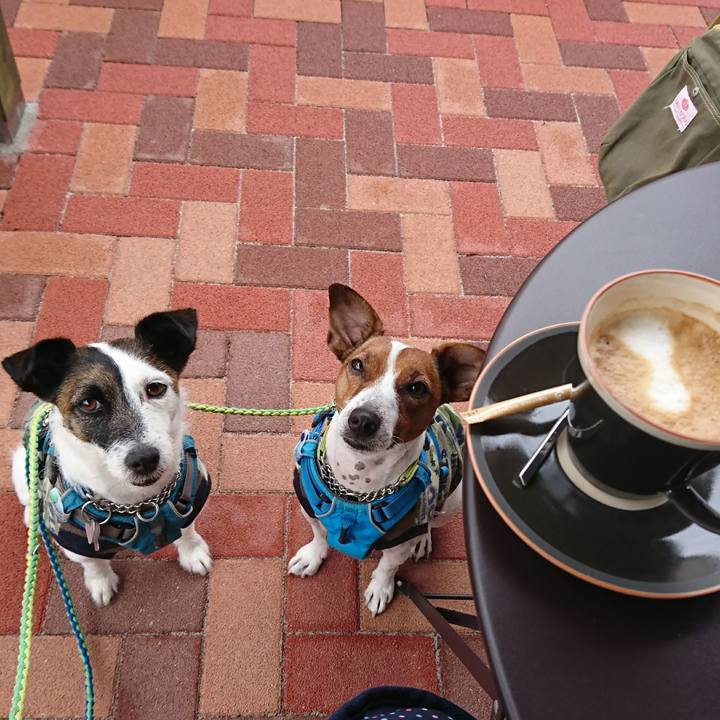 A817c801 39e2 4013 bec2 cac29013642c 1593081185390