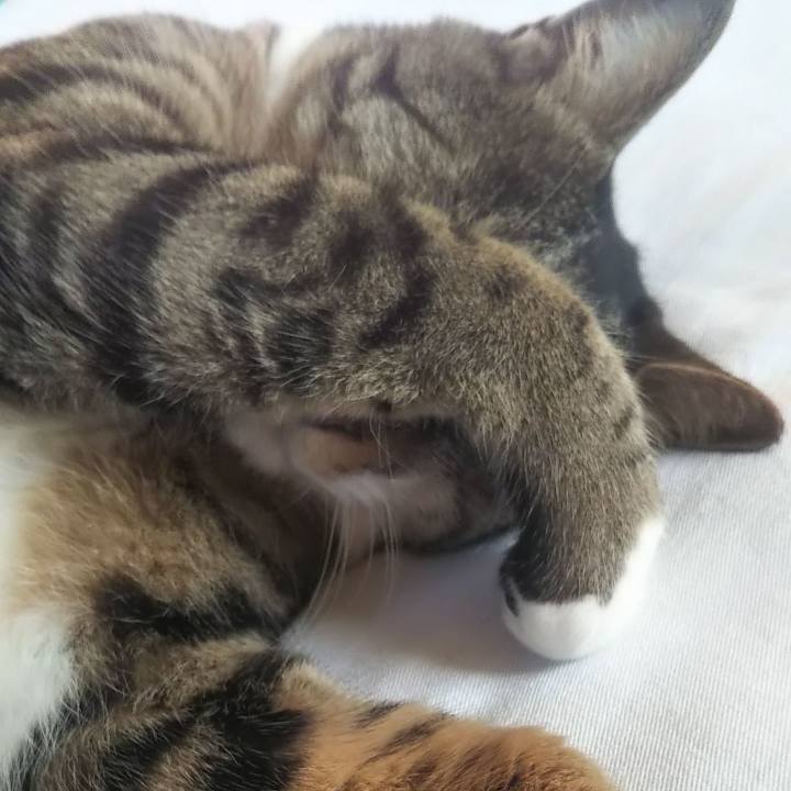 A817d183 b85a 4bec b3d5 160a304612d2 1626127871554