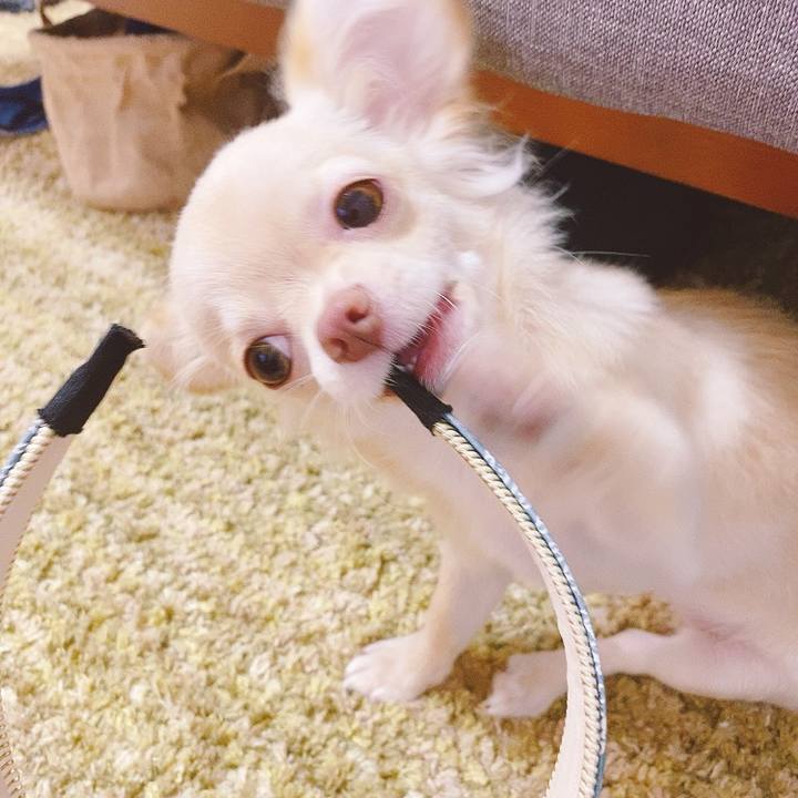 A817d7b2 08d6 40b6 9e0b 5cf0eca5298d 1596607060326