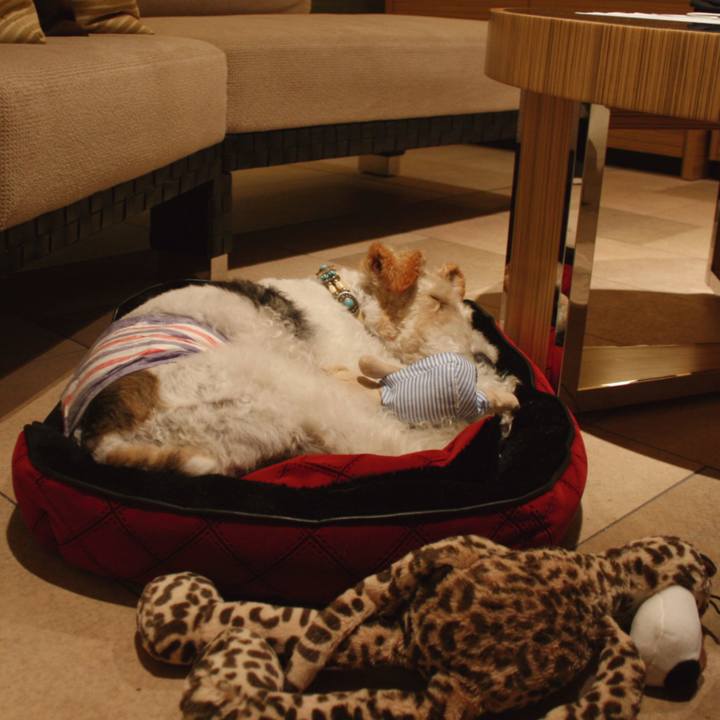 A8185c16 84f6 4d58 99a7 a91e33b7c1b9 1565738154450