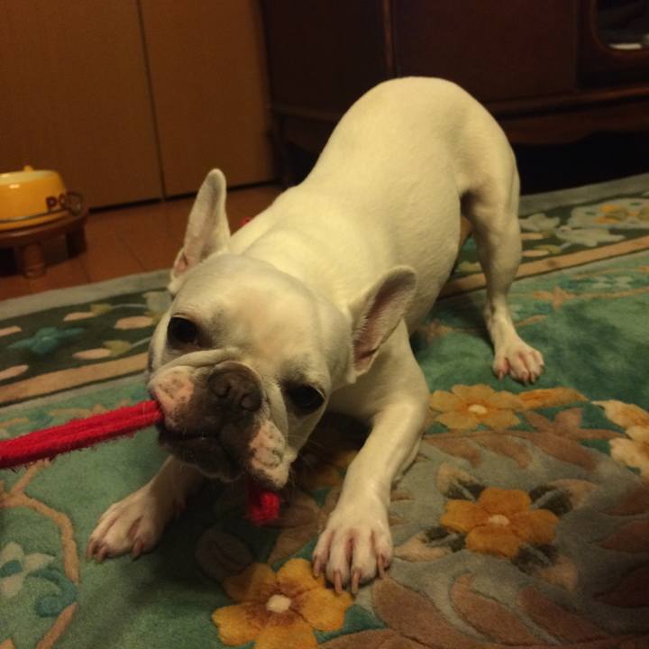 A818650b 10ee 4659 9c1d 00b6b01af493 1526895341255