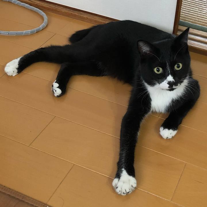 A8186a1e 86da 45e3 8b6a 740cfec23688 1601005729247