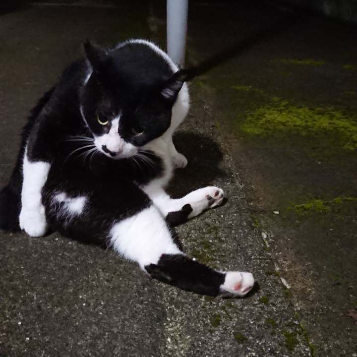 A8186ad5 573f 4c56 8226 f482603a22ea 1596192069256