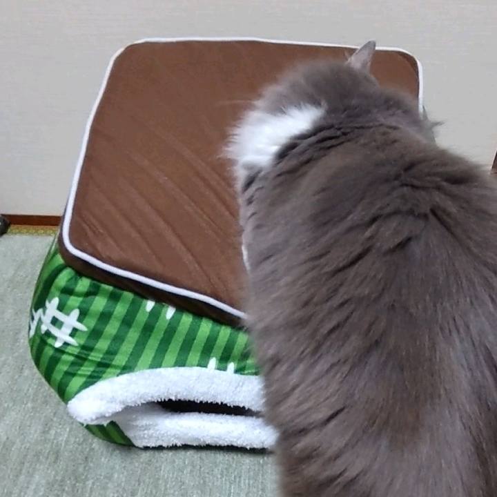 A818aad1 8344 4006 a073 b5a8ebe93435 1703926653434