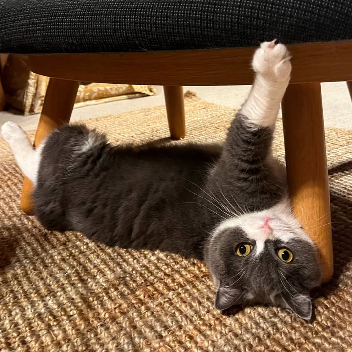 A818cb9c 1002 4fad ab0d 2e989e25fe6d 1662549811451