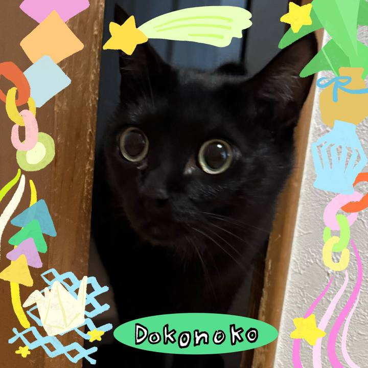 A818cbff 9d39 4f06 8736 b383ab2aae36 1755420894363