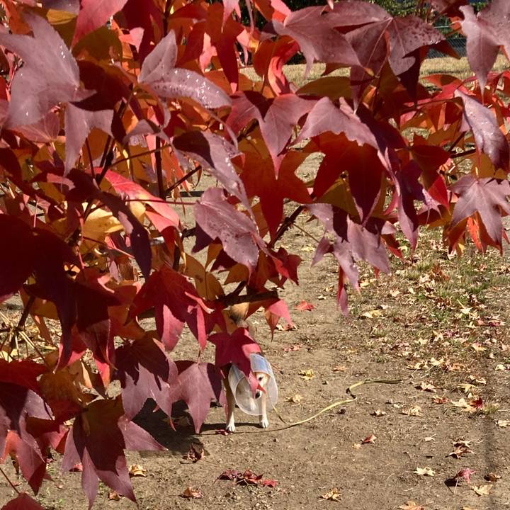 A818cf94 3e28 41d9 9e06 67d648b99e97 1667369549923