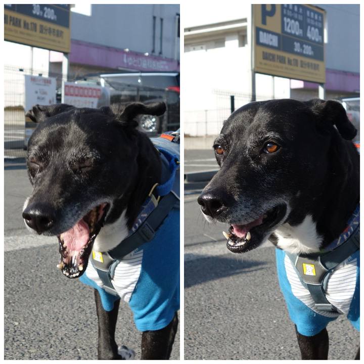 A81923fd e976 4680 9e9b ff06cbbf879b 1742605112531