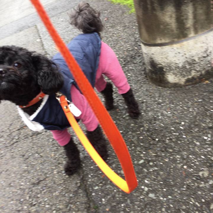 A8192639 c734 4608 b0c4 aad6551a0415 1508464917896