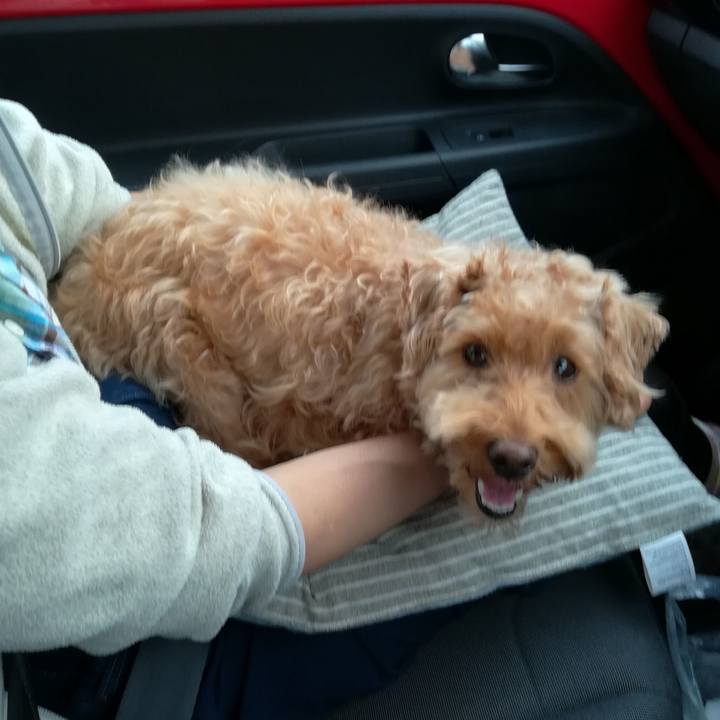 A81968e4 b82e 4e53 9824 d52e04cbe295 1532030739012