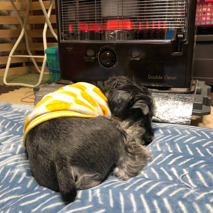 A8196da7 5e20 486c b40c fe9dd7679500 1673518925155