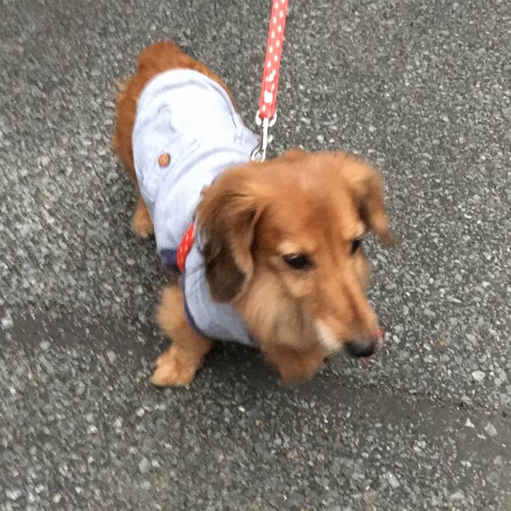 A8198c4a 3e6b 4c84 876b ec2d67103da7 1606654893716