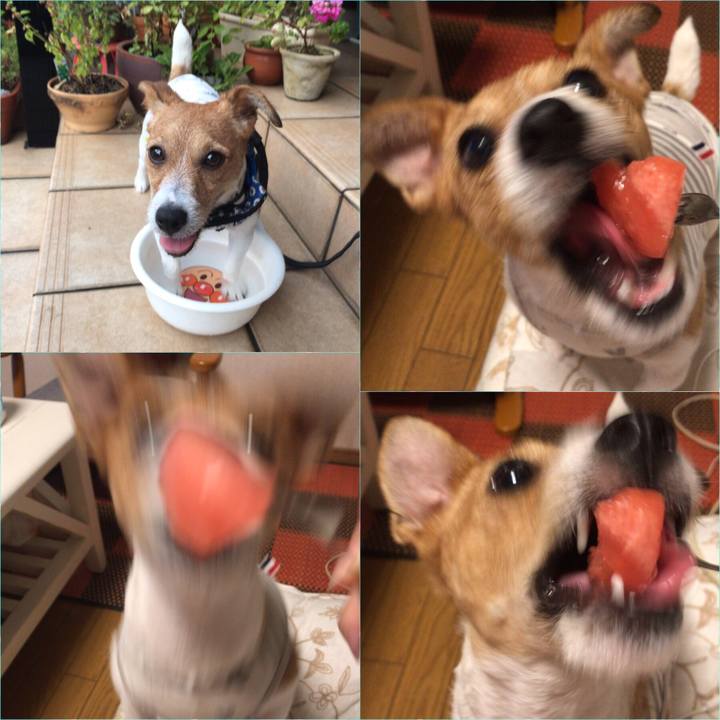 A8198f49 b2ac 4ca5 8580 643830213dc2 1565700886095