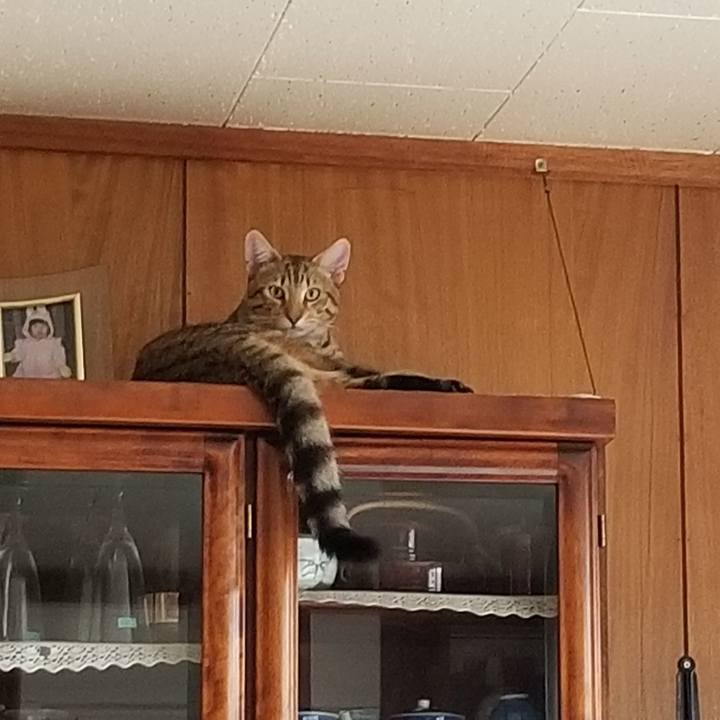 A819b1fd 7f8e 45f9 8abe 8048da516027 1570160413539