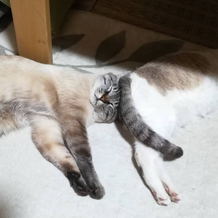 A819c32c 49b1 4db9 9064 5a819f3764b9 1548848091183