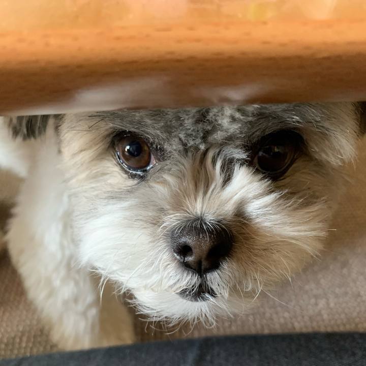 A819f8a1 3343 476b 8f82 67de6f762337 1586862492184