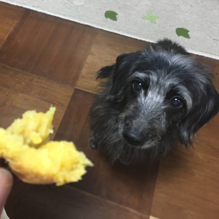 A81a1970 f465 4bd3 afc9 ac02a5c3a613 1543877833527