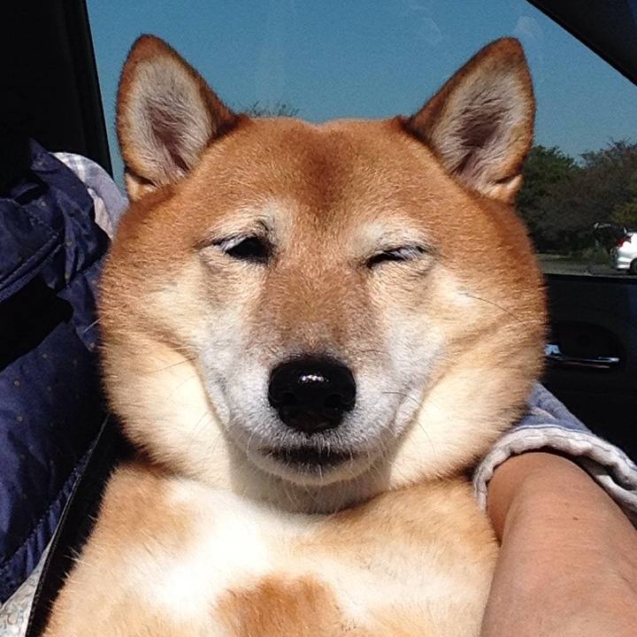 A81a2e72 6c9e 4b99 a29a f5c2641b2a23 1540440576513