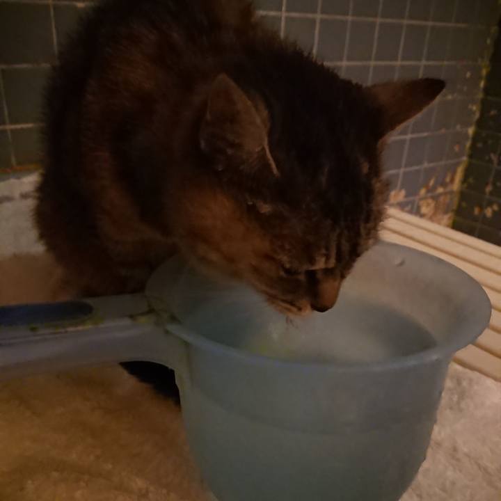 A81a8b01 7162 4a16 a632 30b66ea6bb53 1569404539639