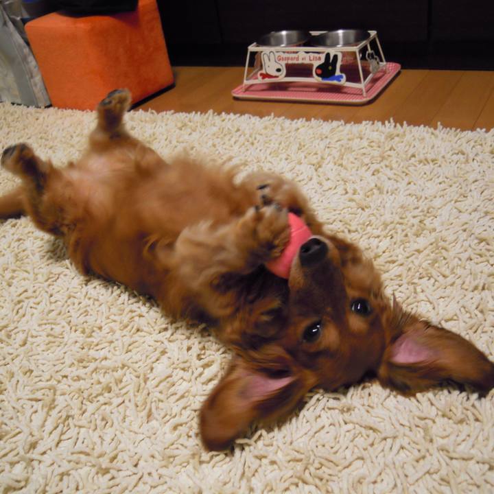 A81a8f89 6bb3 41f1 af0a af3092473a33 1535394367660