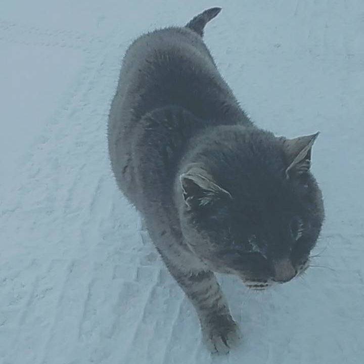 A81aaac5 e91c 4359 8f36 85efa461bcb8 1550973638111