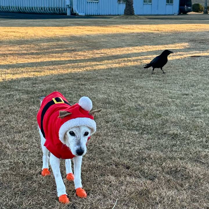 A81acf8f d12c 4db0 bad1 1026b7c0e35a 1671956579835