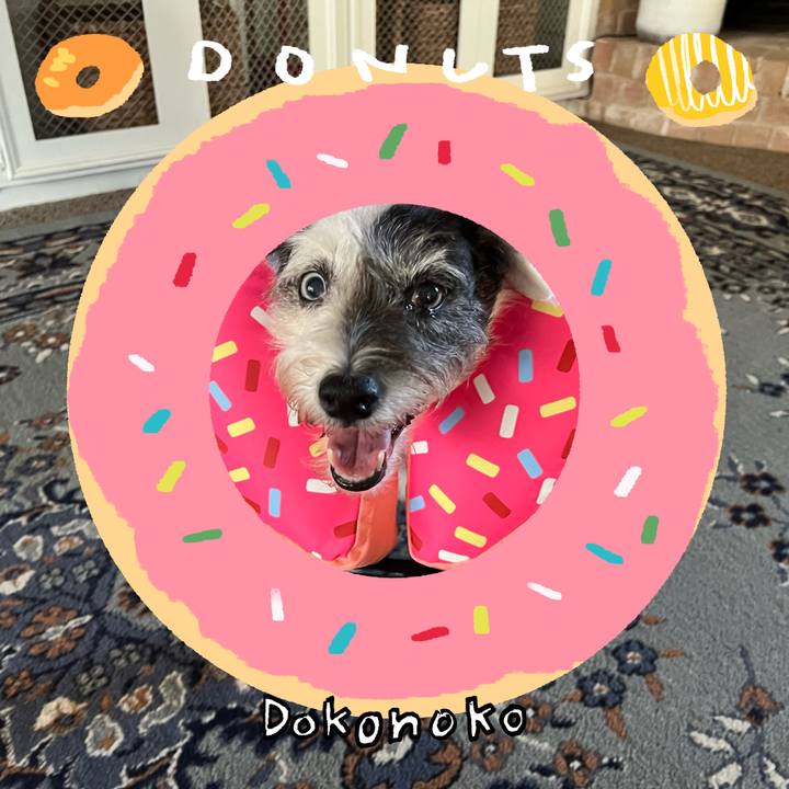 A81addda d9b7 469c b711 b5978b74be1c 1744416391897