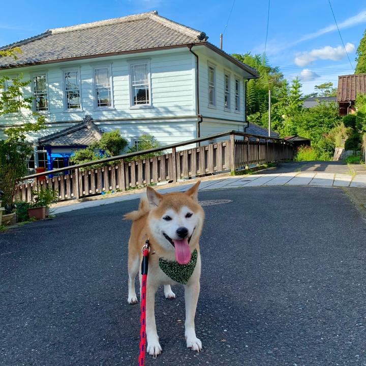 A81ade44 ab94 48b4 bd68 215cb1700e65 1694773321304